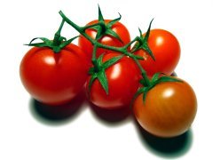 Tomaten haben gesundheitsförderndes Potential Tomaten haben gesundheitsförderndes Potential