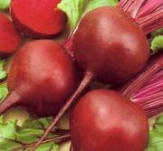 Rote Rüben Rote Rüben