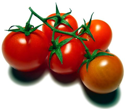 Tomaten Tomaten