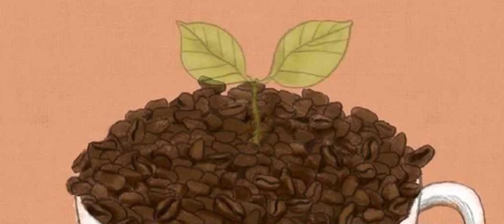 Recoffee O'right Recoffee O'right