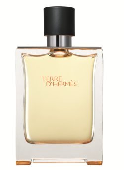 Terre d'Hermes Eau de Toilette Terre d'Hermes Eau de Toilette