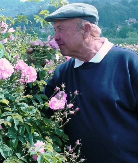 Joseph Mul auf den Rosenfeldern in Grasse Joseph Mul auf den Rosenfeldern in Grasse