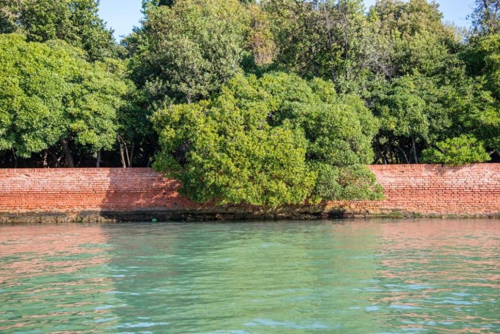 Un Jardin sur la Lagune Un Jardin sur la Lagune