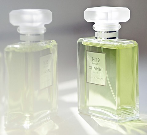 Chanel N° 19  Poudre