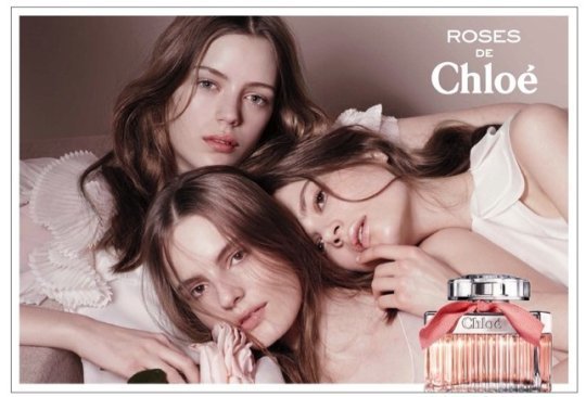 Roses de Chloé Roses de Chloé