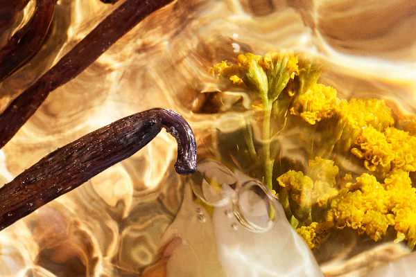 Die Vanilletinktur von Guerlain ist das Herzstück von Bosca Vanilla
