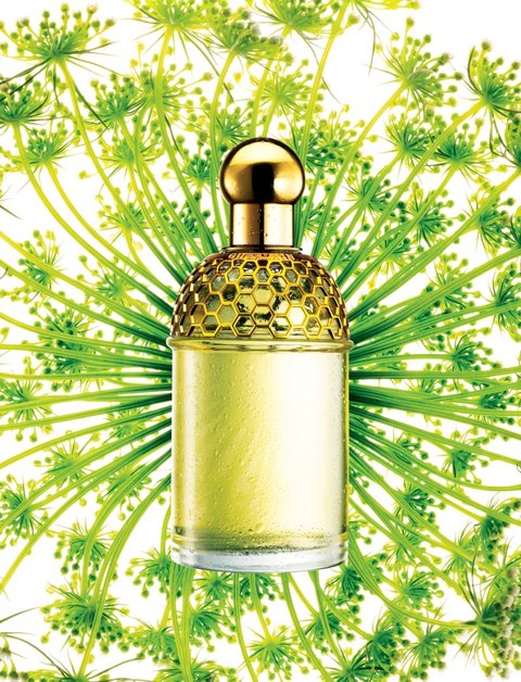 Aqua Allegoria Guerlain