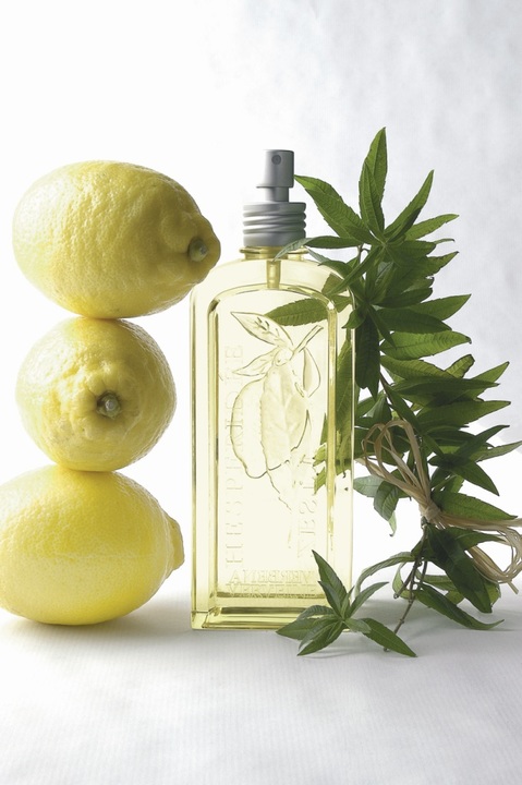 L'Occitane L'Occitane