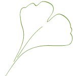 Felicitas Freise - Detox Shiatsu Felicitas Freise - Detox Shiatsu