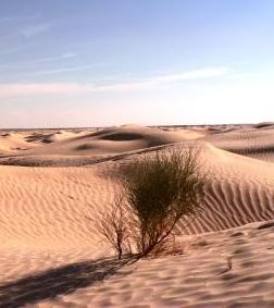 Sahara bei Touzeur