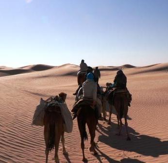 Kameltrekk in der Sahara