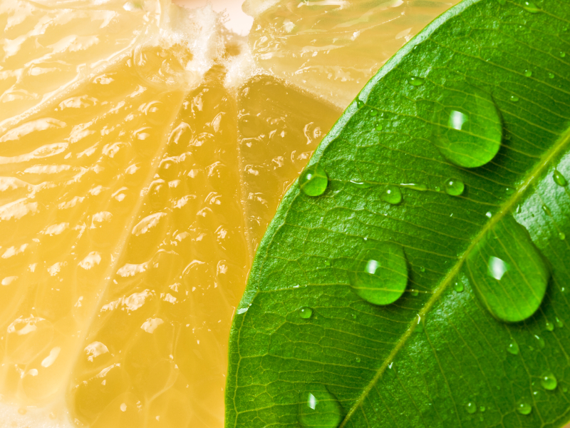 Ayurveda im Sommer Ayurveda im Sommer
