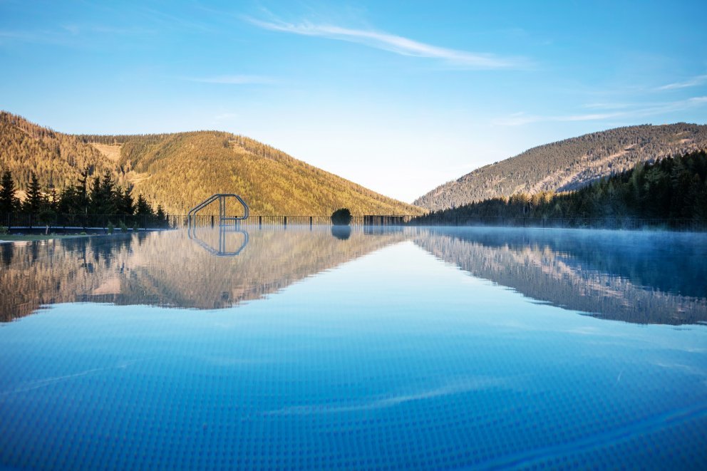 Almwellness Hotel Pierer Almwellness Hotel Pierer