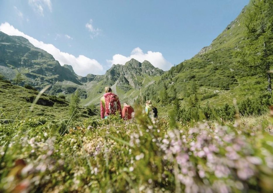 Natur- und Wellnesshotel Höflehner****Superior