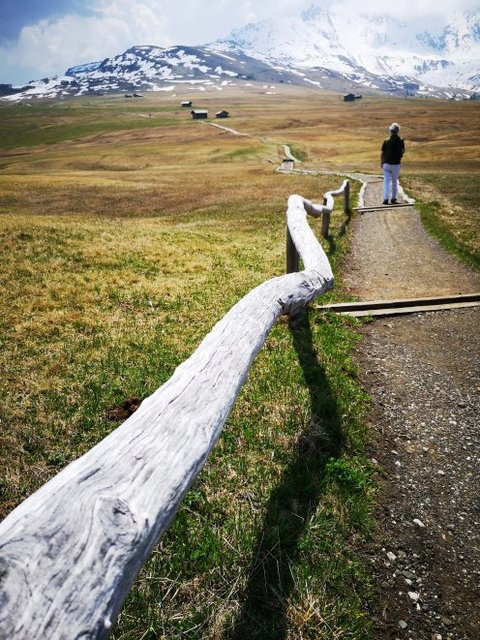 Seiseralm Südtirol