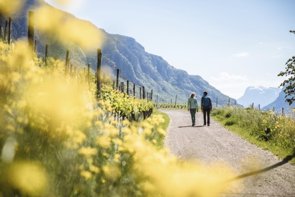 . Abwechslungsreiche Wander- und Spazierwege sowie das durchgehend milde Klima im Süden Südtirols ermöglichen ganzjährig die Begehung der breiten Vielfalt an Wanderrouten durch Weinberge 