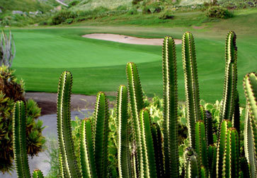 Golfplatz Sheraton Salobre Golfplatz Sheraton Salobre