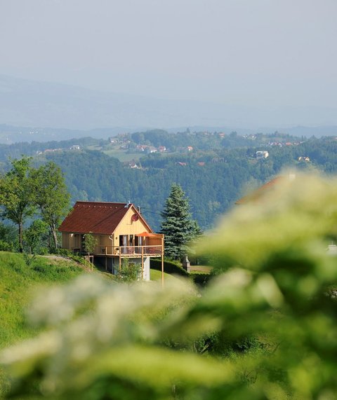 Weinstöckl am Tunauberg