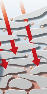 Eindringrouten in die Haut Eindringrouten in die Haut