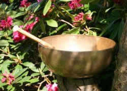Aromatische Öle Aromatische Öle