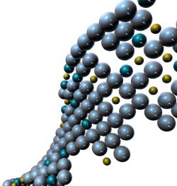 Die DNA - Bauplan des Lebens Die DNA - Bauplan des Lebens