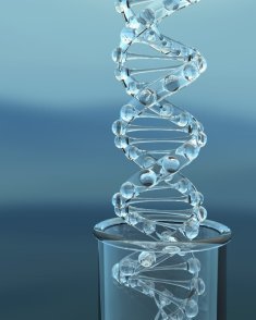 DNA Modell