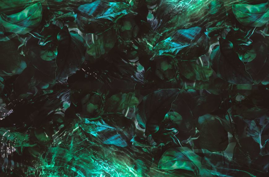 Aura Leaf Aura Leaf