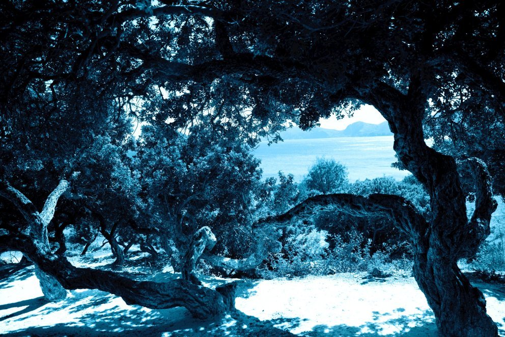 Blue Zone - Ikaria Blue Zone - Ikaria