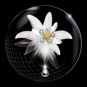 Edelweiss - Helena Rubinstein Prodigy Reversis Edelweiss - Helena Rubinstein Prodigy Reversis