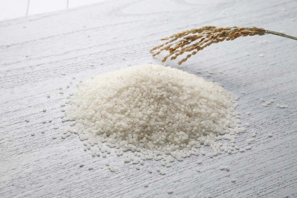 Rice Force Rice Force
