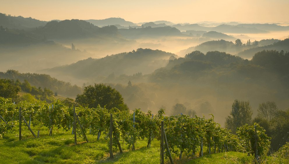 Südsteirische Weinberge Südsteirische Weinberge