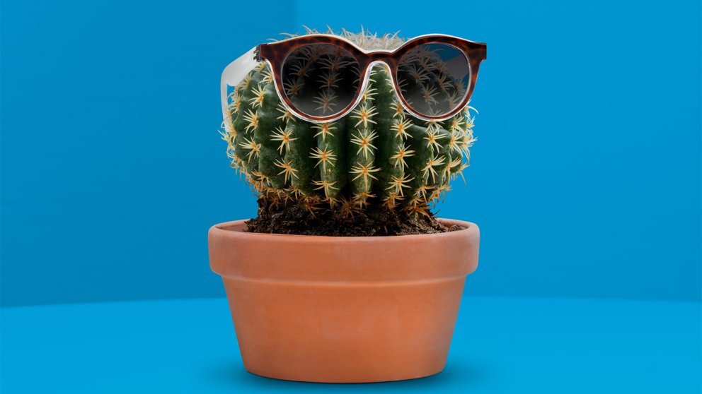 Swatch Sonnenbrille Swatch Sonnenbrille
