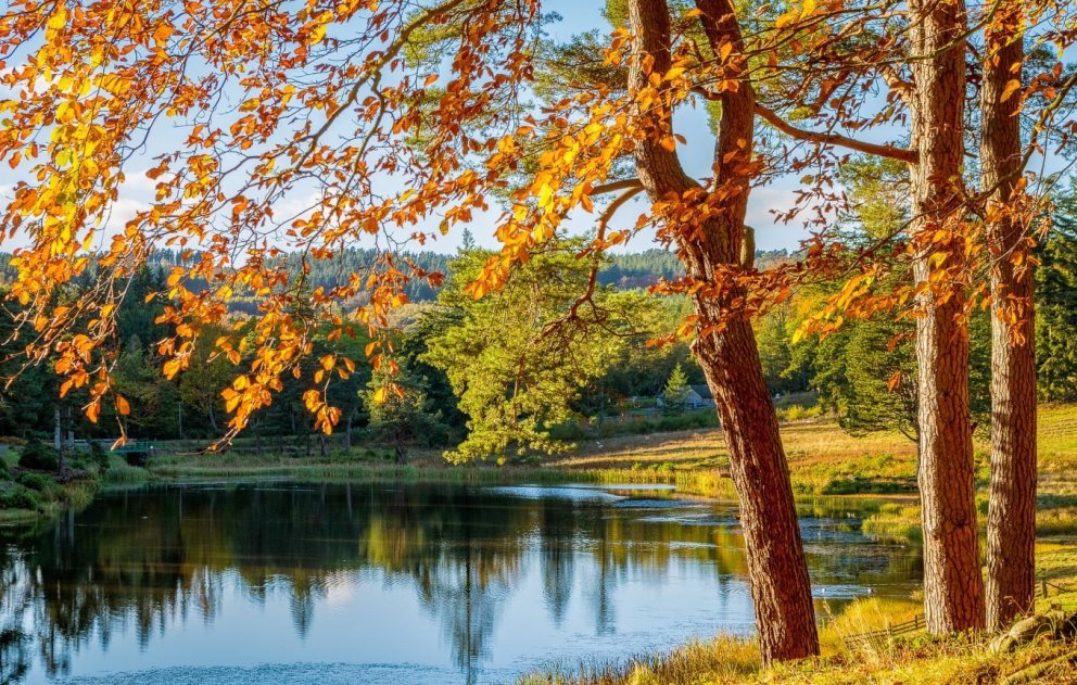 Im Indian Summer zeigt sich der Herbst von seiner farbenprächtigsten Seite