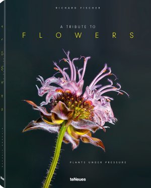 A Tribute to Flowers A Tribute to Flowers