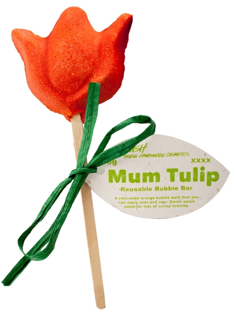 Lush Mum Tulip Lush Mum Tulip
