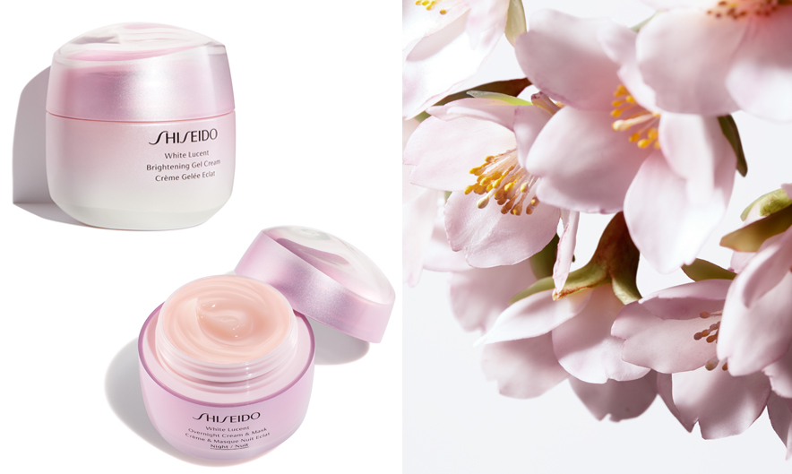 Shiseido Shiseido