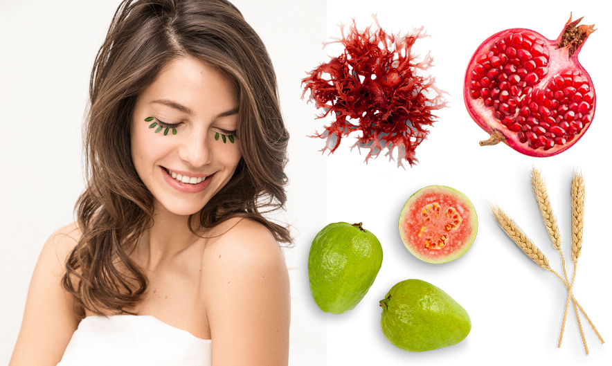 BLOOM BEAUTY ESSENCE® BLOOM BEAUTY ESSENCE®