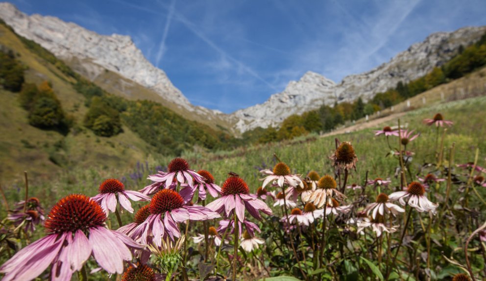 Domaine clarins neu