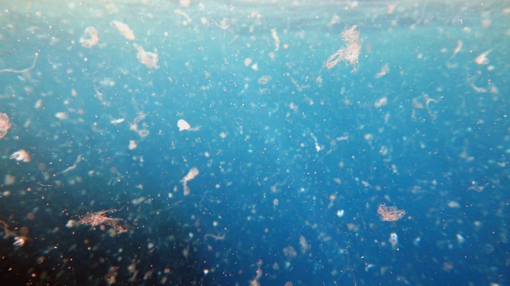 Mikroplastik Mikroplastik