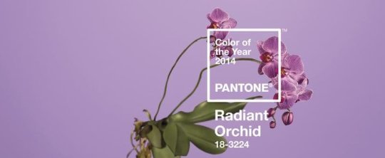 Radiant Orchid - Pantone Color of the year 2014