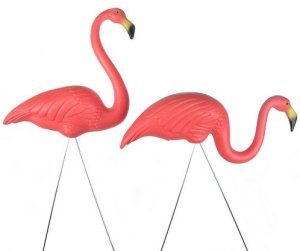 Don Featherstones Flamingos