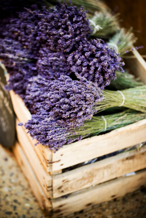 Lavendel Lavendel