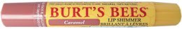 Burt's Bees Lipshimmer Burt's Bees Lipshimmer