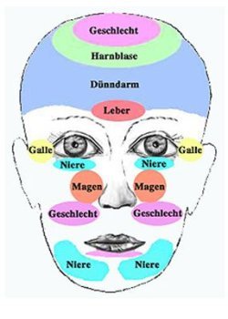 Reflexzonen des Gesichtes Reflexzonen des Gesichtes