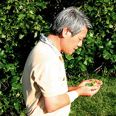 Master Lin Master Lin